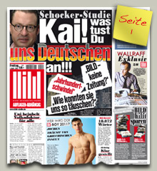 BILD - Studie Seite 1 als PDF